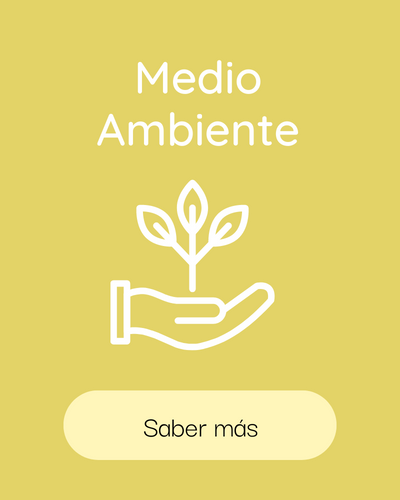 Capacitación 3