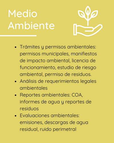 Servicio 3 Mobile